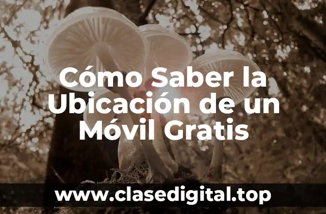 Cómo Saber la Ubicación de un Móvil Gratis