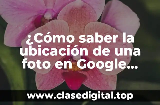 ¿Cómo saber la ubicación de una foto en Google Maps?