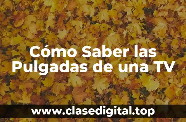 Cómo Saber las Pulgadas de una TV