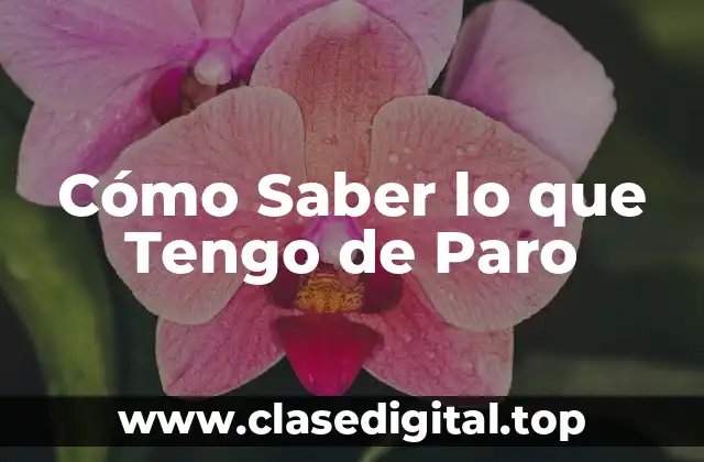 Cómo Saber lo que Tengo de Paro