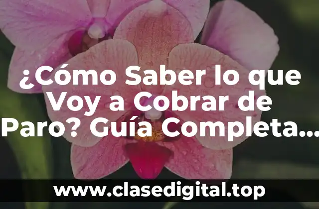 ¿Cómo Saber lo que Voy a Cobrar de Paro? Guía Completa para Calcula tu Prestación