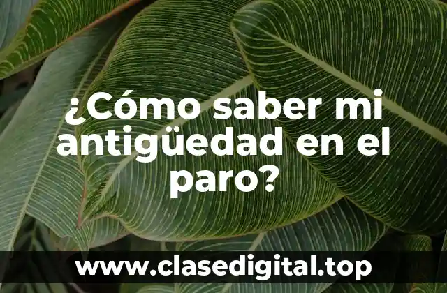 ¿Cómo saber mi antigüedad en el paro?