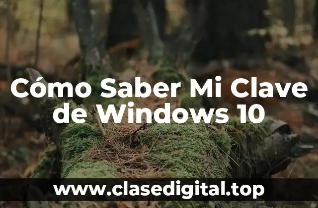 Cómo Saber Mi Clave de Windows 10