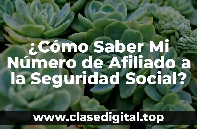 ¿Cómo Saber Mi Número de Afiliado a la Seguridad Social?