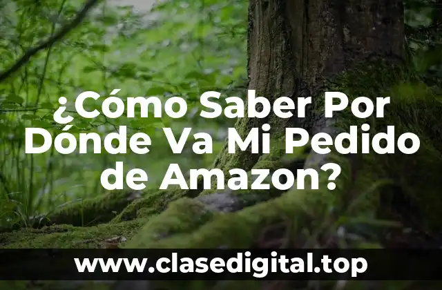 ¿Cómo Saber Por Dónde Va Mi Pedido de Amazon?