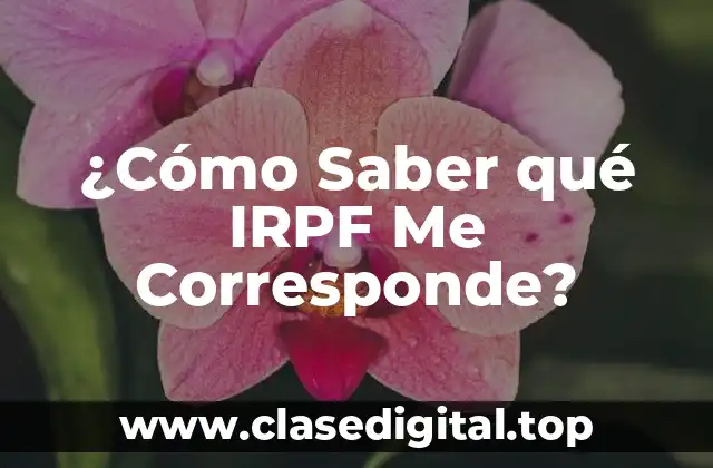 ¿Cómo Saber qué IRPF Me Corresponde?