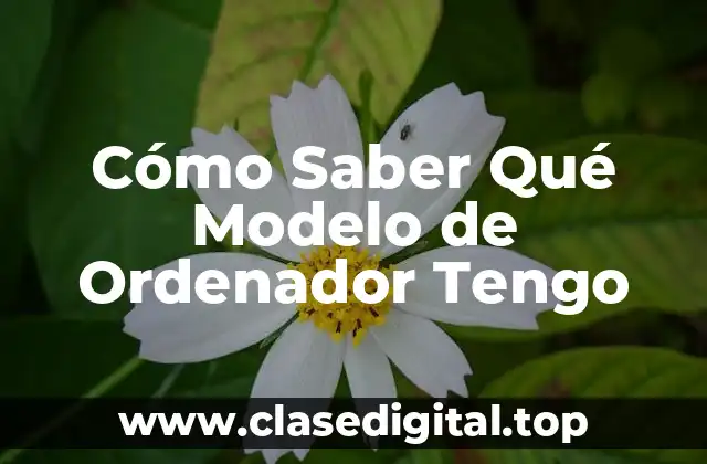 La Importancia de Conocer tu Modelo de Ordenador