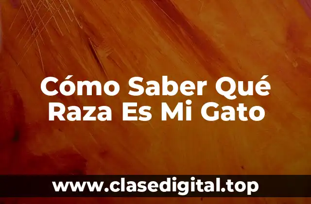 Cómo Saber Qué Raza Es Mi Gato