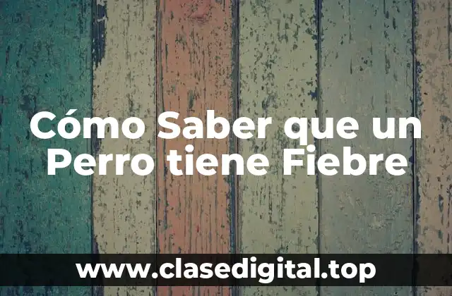 Cómo Saber que un Perro tiene Fiebre
