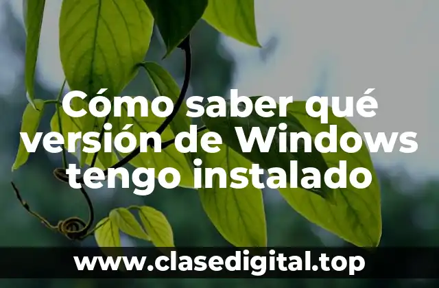 ¿Por qué es importante conocer la versión de Windows?