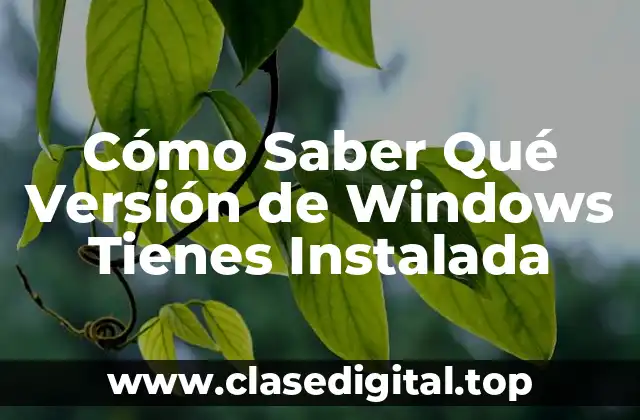 ¿Qué es la Versión de Windows?