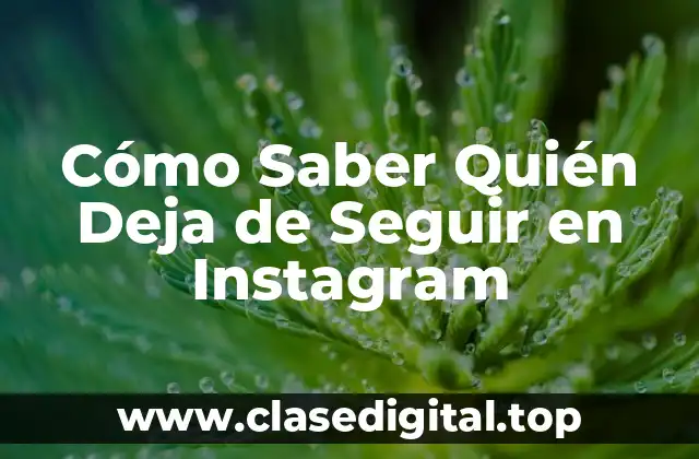 Cómo Saber Quién Deja de Seguir en Instagram