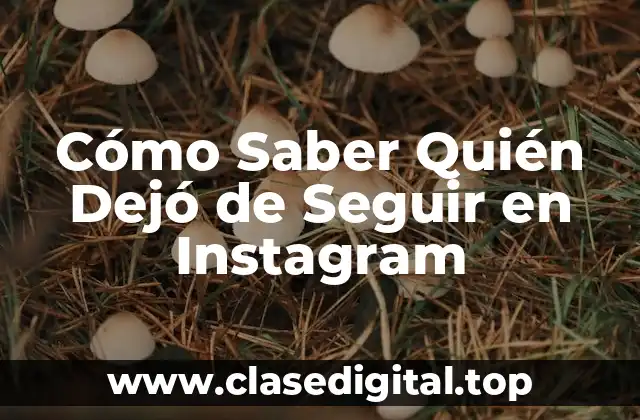 Cómo Saber Quién Dejó de Seguir en Instagram