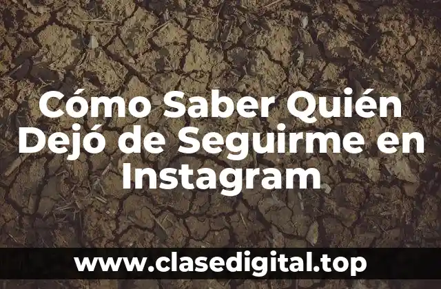 Cómo Saber Quién Dejó de Seguirme en Instagram