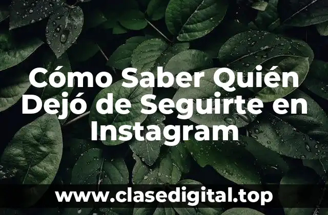 Cómo Saber Quién Dejó de Seguirte en Instagram