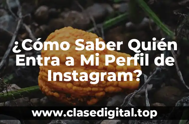 ¿Cómo Saber Quién Entra a Mi Perfil de Instagram?