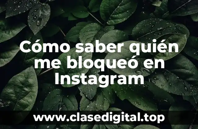 Cómo saber quién me bloqueó en Instagram