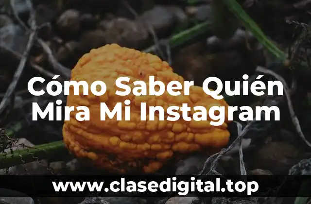 Cómo Saber Quién Mira Mi Instagram