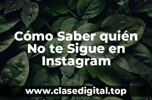 Cómo Saber quién No te Sigue en Instagram