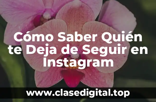 Cómo Saber Quién te Deja de Seguir en Instagram