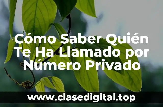 Cómo Saber Quién Te Ha Llamado por Número Privado