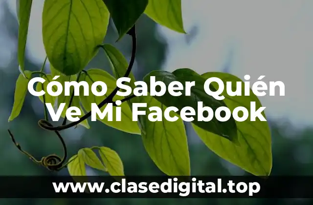 Cómo Saber Quién Ve Mi Facebook