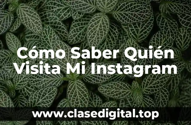 Cómo Saber Quién Visita Mi Instagram