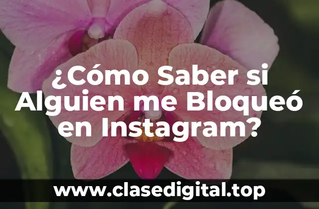 ¿Cómo Saber si Alguien me Bloqueó en Instagram?