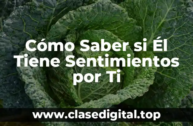 Cómo Saber si Él Tiene Sentimientos por Ti