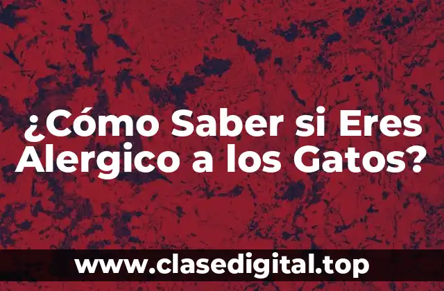 ¿Cómo Saber si Eres Alergico a los Gatos?