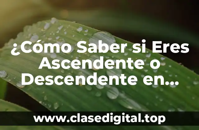 ¿Cómo Saber si Eres Ascendente o Descendente en Astrología?