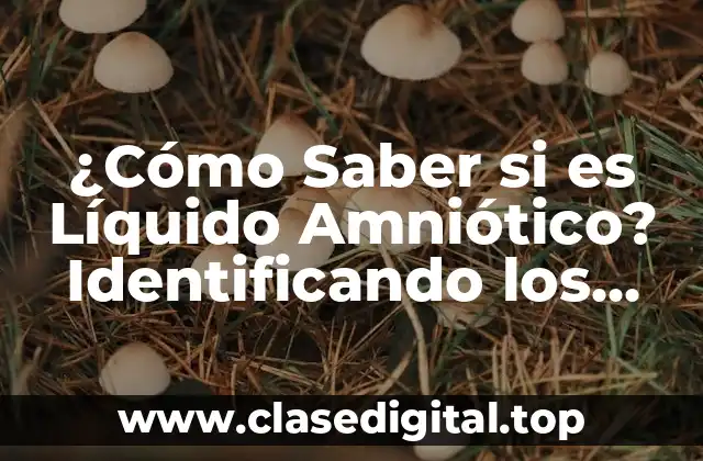 ¿Cómo Saber si es Líquido Amniótico? Identificando los Síntomas y Causas