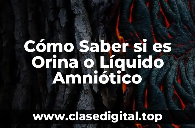 Cómo Saber si es Orina o Líquido Amniótico