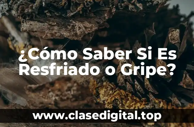 ¿Qué es el Resfriado?