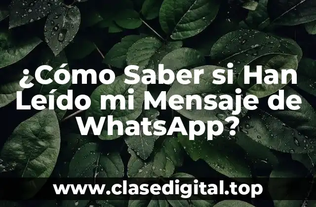 ¿Cómo Saber si Han Leído mi Mensaje de WhatsApp?
