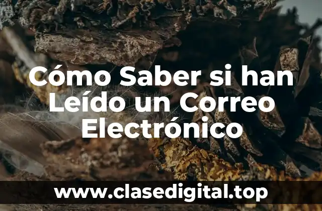 Cómo Saber si han Leído un Correo Electrónico