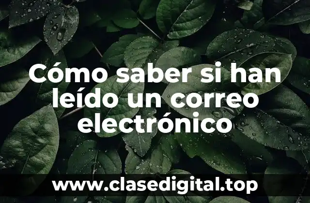 ¿Por qué es importante saber si han leído mi correo electrónico?