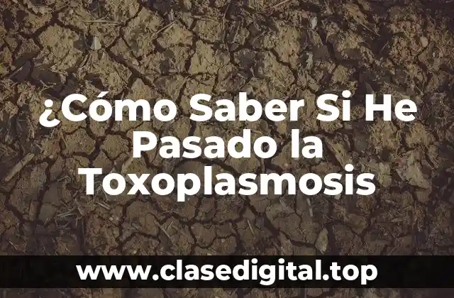 ¿Cómo Saber Si He Pasado la Toxoplasmosis