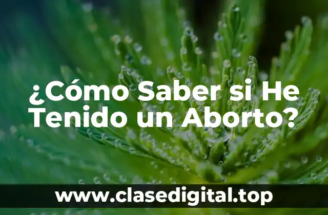 ¿Qué es un Aborto Espontáneo?