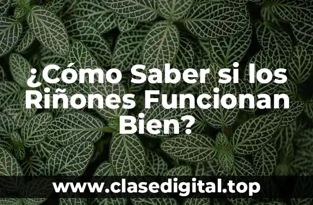 ¿Cómo Saber si los Riñones Funcionan Bien?