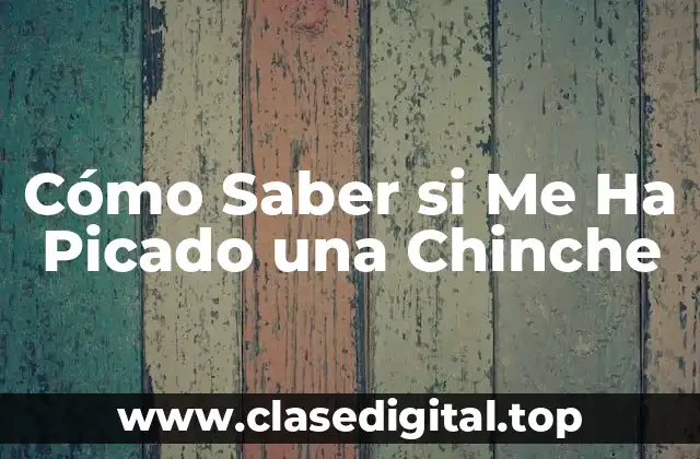 Cómo Saber si Me Ha Picado una Chinche