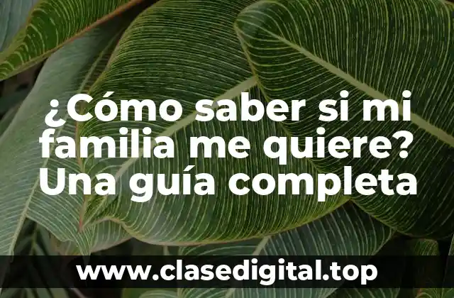 ¿Cómo saber si mi familia me quiere? Una guía completa