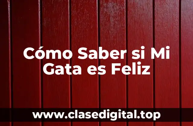 Cómo Saber si Mi Gata es Feliz