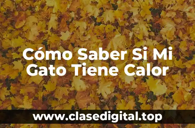 ¿Qué es el calor en los gatos?