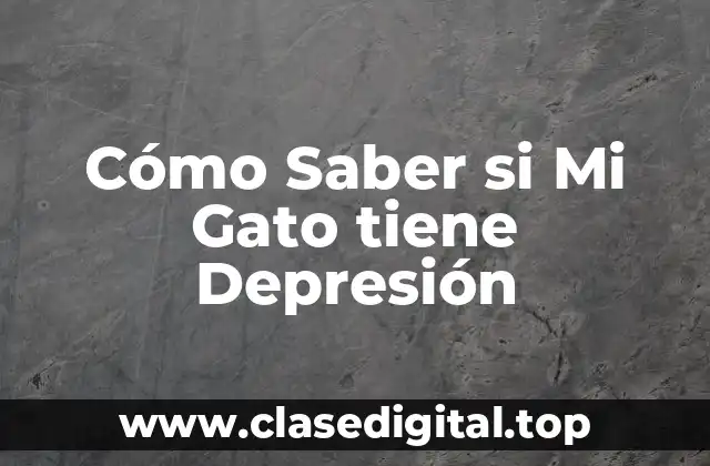 ¿Qué es la Depresión en Gatos?