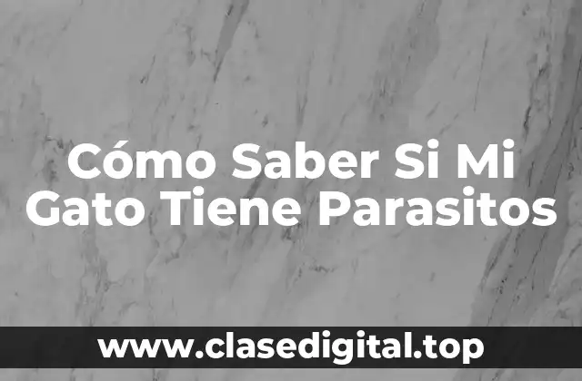 Tipos de Parasitos que Afectan a los Gatos