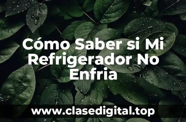Cómo Saber si Mi Refrigerador No Enfria
