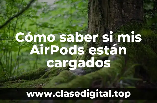 Cómo saber si mis AirPods están cargados