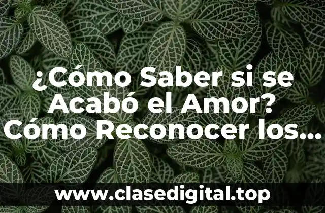 ¿Cómo Saber si se Acabó el Amor? Cómo Reconocer los Signos de una Relación en Decadencia
