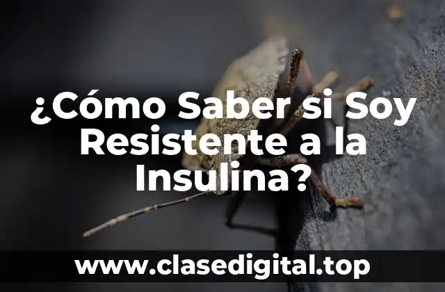 Causas de la Resistencia a la Insulina